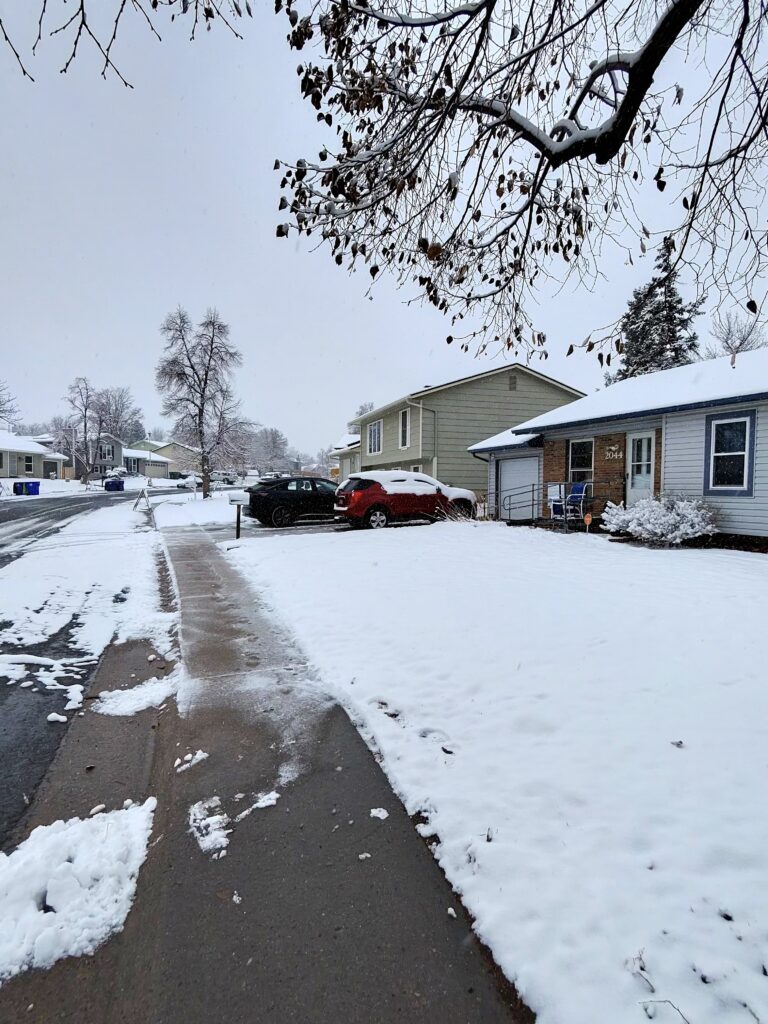 photo-8049_singular_display_fullPicture (1)