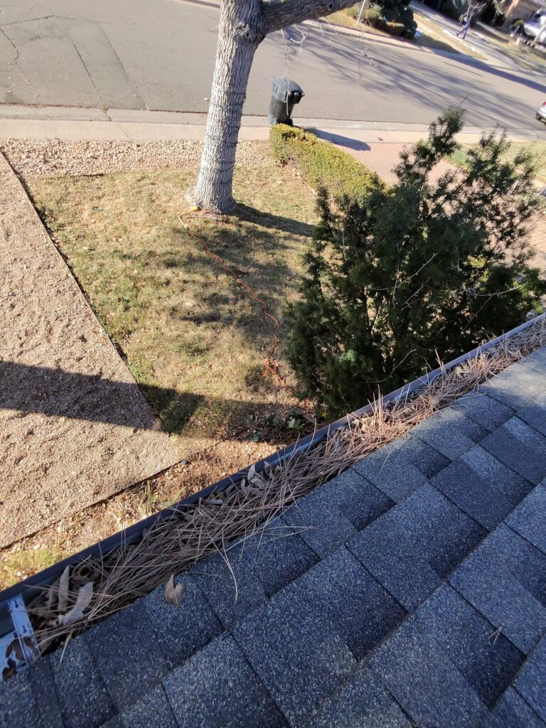 photo-8430_singular_display_fullPicture